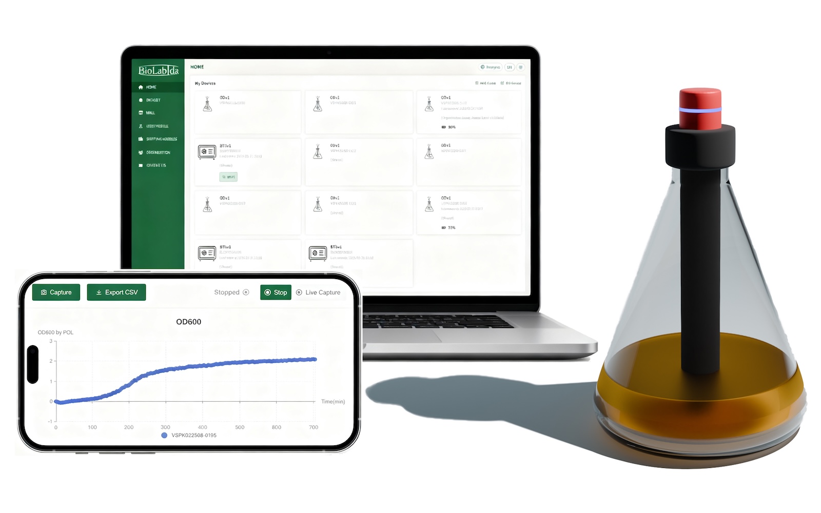 Pillar of Light (Pol) product